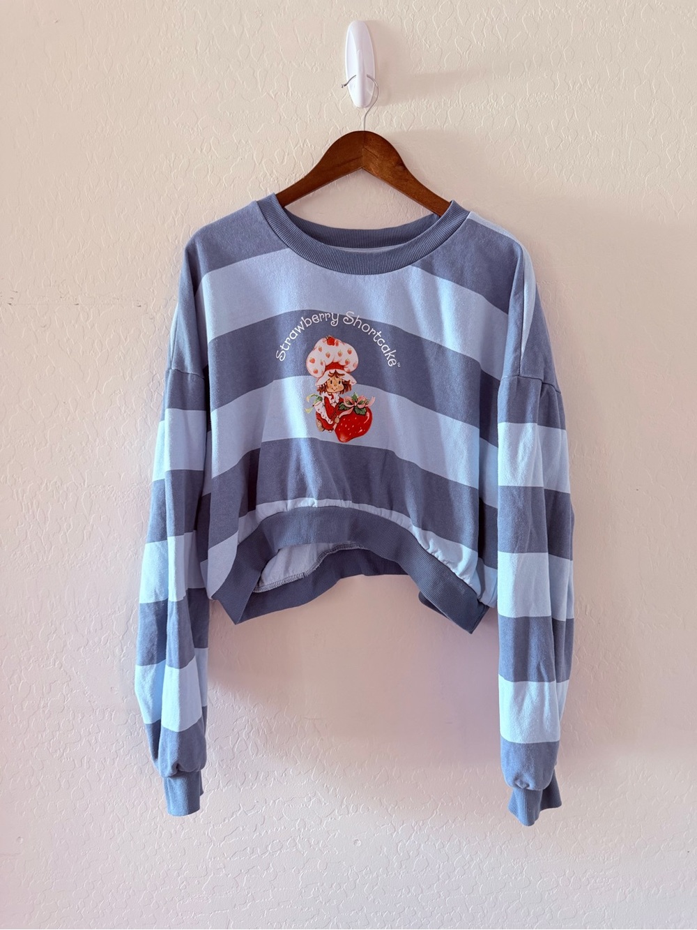 Striped Cropped Sweater with Strawberry Shortcake Graphic Blue & White XXL Crop